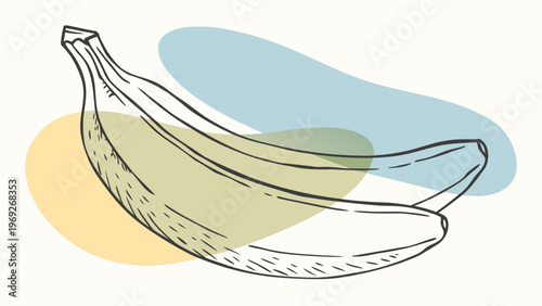 Simple line drawing of a banana with pastel colored blobs.
