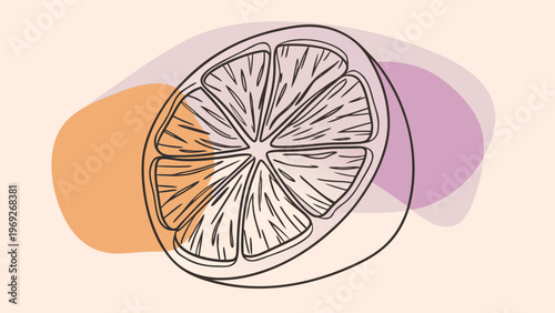 Stylized cross-section of a citrus fruit with abstract organic shapes behind it.