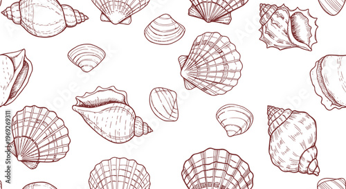 Beach summer vacation naive outline sketch vector illustration of seashells