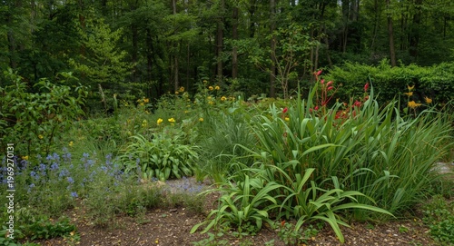 Vivid garden scene with plants prospering close to forest growth