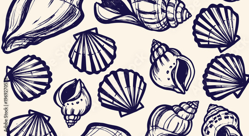 Beach summer vacation naive outline sketch vector illustration of seashells
