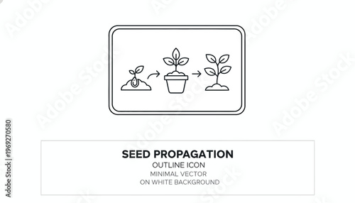 Seed Propagation Stages Outline Icon: Sprouting, Potting, Growth