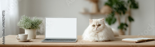The feline freelancer: a fl...