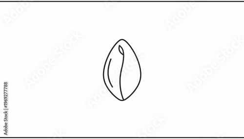 Minimalist line drawing of a single almond on a white background