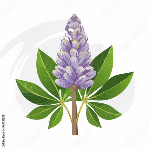 Purple lupine flower with green leaves