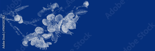 Apple blossom cyanotype botanical background. Stipple dot overlay texture with spring flower silhouette. Delicate indigo blue nature banner for template and graphic design project