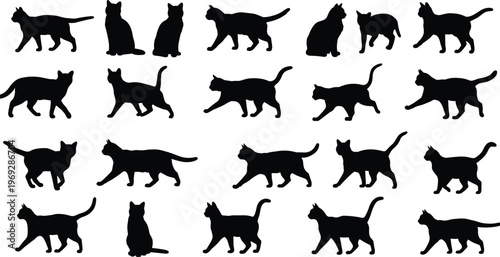Silhouette cat collection vector, walking sitting cat pose design, black cat shapes for t-shirt, sticker, print, pet branding, logo