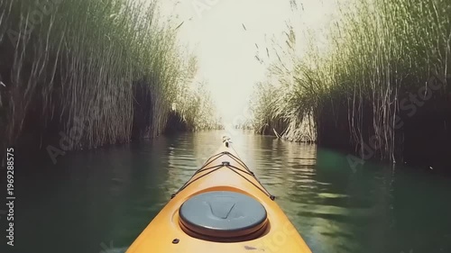 Kayaking through lush green reeds on a serene lake