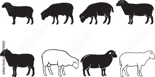 Goat vector character collection, set of cute domestic farm animals isolated on white background