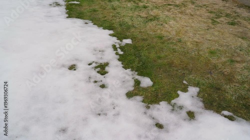 Wallpaper Mural Yellowed matted lawn grass after snow melting poor lawn condition in spring Torontodigital.ca