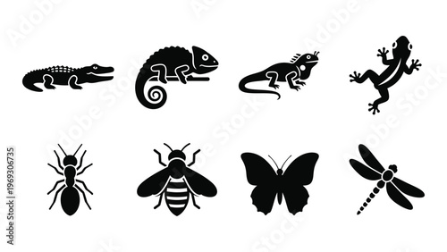 A collection of black reptile and insect silhouettes including a chameleon crocodile and dragonfly silhouette high quality professional detailed modern elegant
