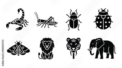 A collection of animal icons including insects a moth big cats and an elephant all in black silhouette high quality professional