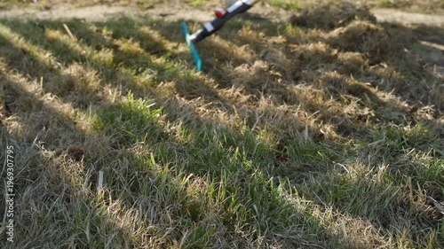 Wallpaper Mural Pile of dry thatch after spring lawn raking in residential backyard Torontodigital.ca