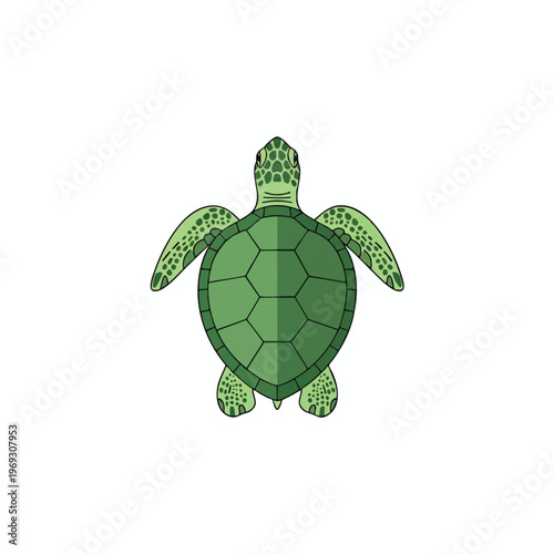 Flat illustration of a sea turtle with green shell and flippers against white background