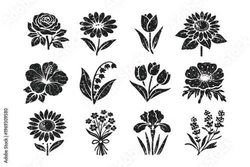Vintage black and white botanical floral illustrations collection