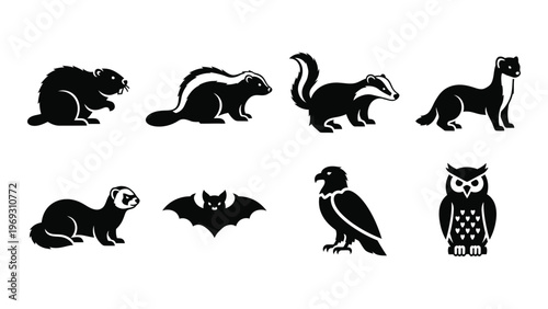A collection of black animal silhouettes including badgers ferrets bats birds and an owl silhouette high quality professional detailed modern elegant