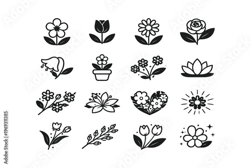 Collection of elegant black and white floral and nature-themed illustrations