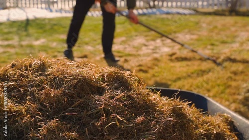 Wallpaper Mural Close-up of rake gathering dried grass clippings on green lawn in spring Torontodigital.ca