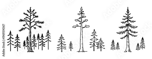 Pine tree forest icon set with compact scenic silhouette design featuring evergreen trees, woodland, nature with simple line art and vector graphics