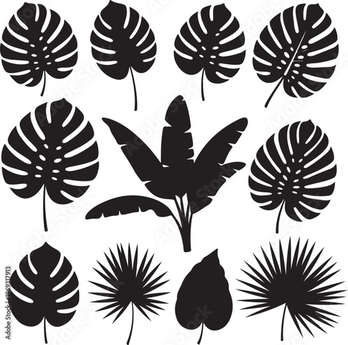 Set of black silhouettes of tropical leaves palms, trees.