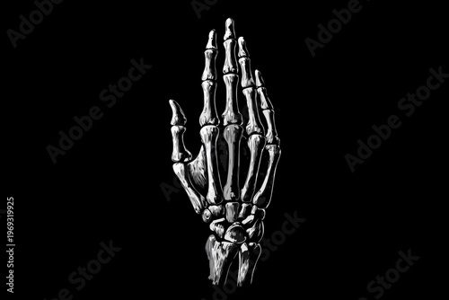 Detailed illustration of a human skeletal hand against a black background