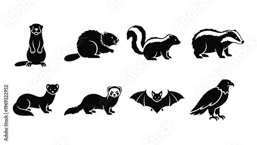 A collection of various animal silhouettes including a ferret badger bat and bird of prey in a minimalist style silhouette