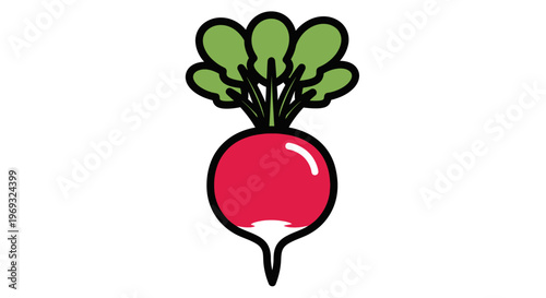 Fresh Radish Icon with Green Leaves, Isolated on White Background