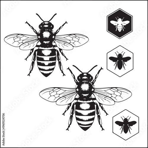 Set of honey emblems and design elements. Honeycombs, bee silhouettes.