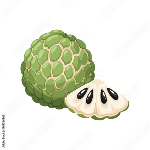 A whole green fruit with a slice revealing creamy flesh and black seeds