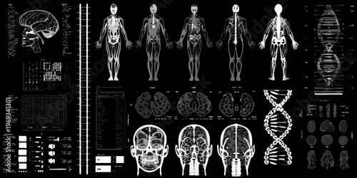 Anatomical x ray illustrations with brain scans dna and medical data