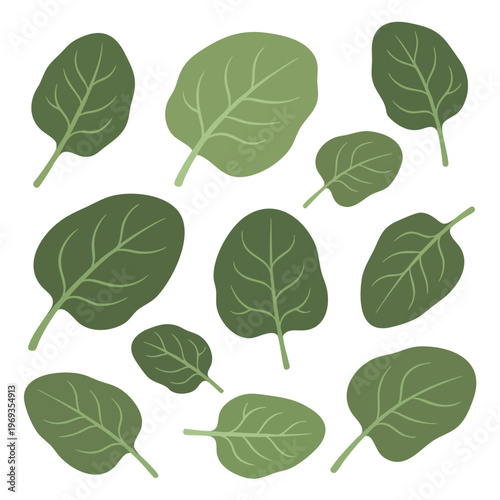 Ten stylized, green spinach leaves scattered on a white background