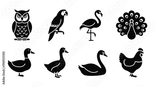 A collection of diverse bird species depicted in bold black silhouettes showcasing avian forms and features silhouette high quality professional detailed