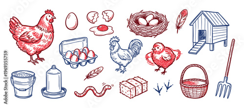 Collection of hand-drawn red and blue farm poultry elements including chickens, eggs, coop, and farming tools