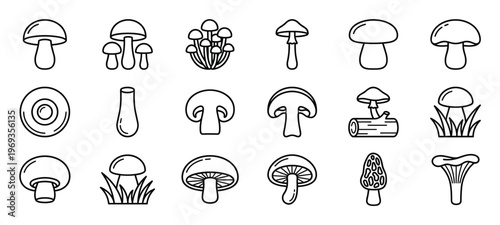 Collection of various outline mushroom icons in a simple, clean, and modern vector style for culinary or nature themes