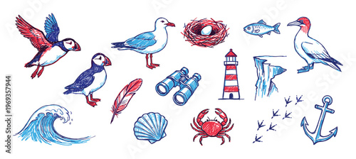 Various hand-drawn marine life and nautical elements, including puffins, seagulls, a lighthouse, and a crab, in a vibrant sketch style