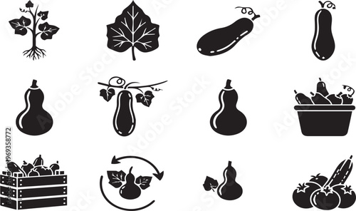A comprehensive collection of various gourd and squash icons for agricultural harvest.