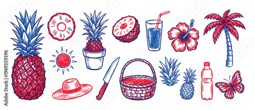 Collection of hand-drawn summer vacation elements including pineapples, a palm tree, hibiscus flower, and sun in red and blue sketch style