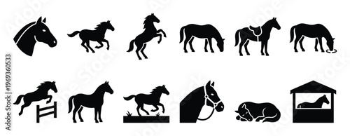 Collection of black horse silhouettes in various poses, including galloping, rearing, jumping, grazing, and resting, presented as graphic icons