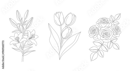 Flower bouquets: lily, tulip, roses, minimal outline drawing, isolated