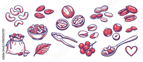Various hand-drawn nuts and berries including cashews, walnuts, peanuts, and pistachios in a vibrant red and blue sketch style