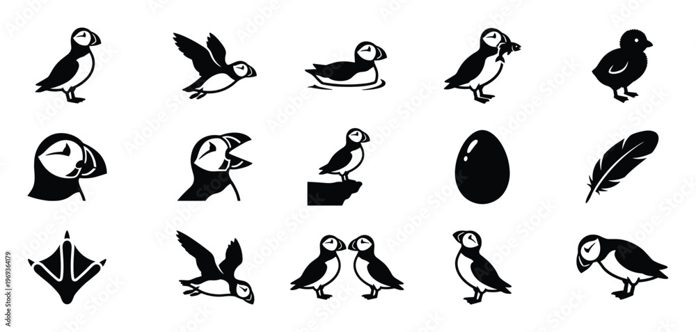 Fototapeta premium Collection of black and white puffin icons in various poses, including flying, swimming, standing, and a chick