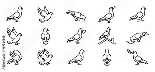 Collection of fifteen simple black outline pigeon icons depicting various actions and poses in a clean, minimalist style