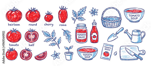 Various hand-drawn red tomatoes, leaves, and related products are arranged in a colorful, illustrative collection