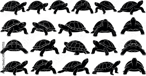 Turtle silhouette illustration set with different poses and shell details isolated on white background, reptile wildlife nature animal collection design concept