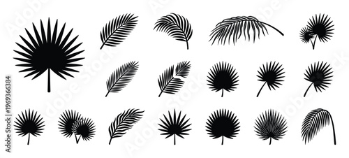 Various black palm leaves silhouettes are arranged in a collection, showcasing different tropical foliage shapes and styles