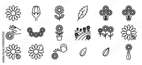 Collection of simple black outline daisy flower icons depicting various stages and interactions, presented in a clean, minimalist style