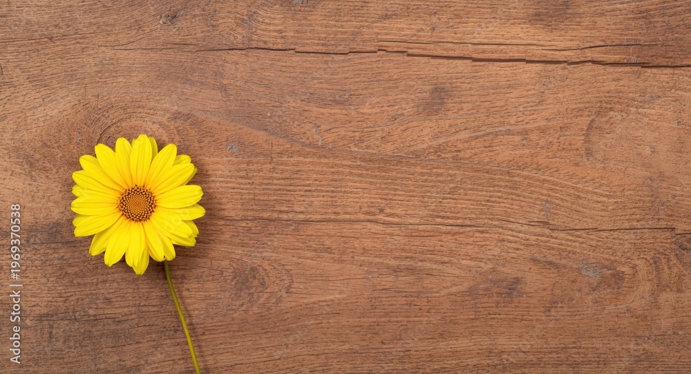 Obraz premium Yellow flower on warm wood texture with clear copy space for text or design