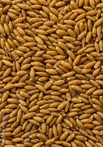 Macro view of countless dry cereal grains layered together, forming a warm, uniform, golden abstract texture background, neutral, rich, raw