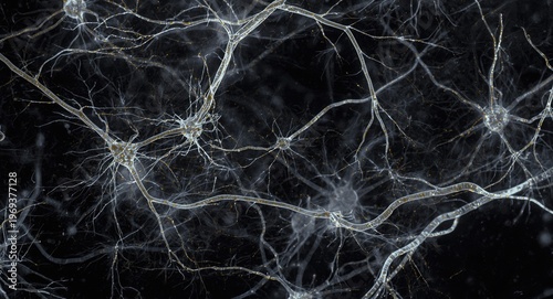 Visualizing neurofibrillary tangles in Alzheimer affected pyramidal neurons of human cortex using silver carbonate staining