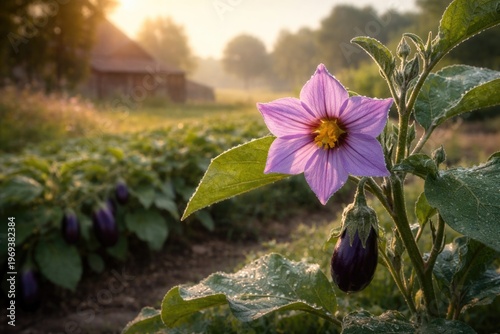 A charming eggplant flower blossoming in a peaceful countryside setting